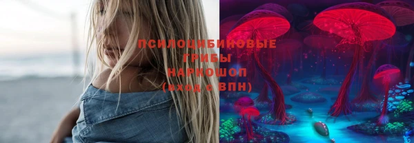 герыч Медногорск