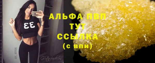 прущие грибы Березники