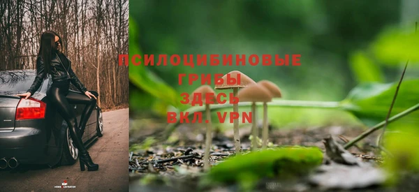 герыч Медногорск