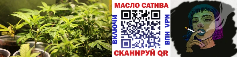 наркота  Алзамай  ТГК концентрат 
