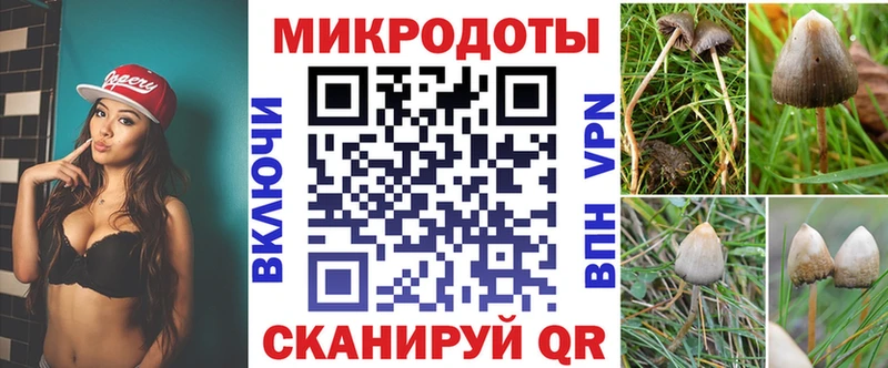 Галлюциногенные грибы прущие грибы  цены   Алзамай 